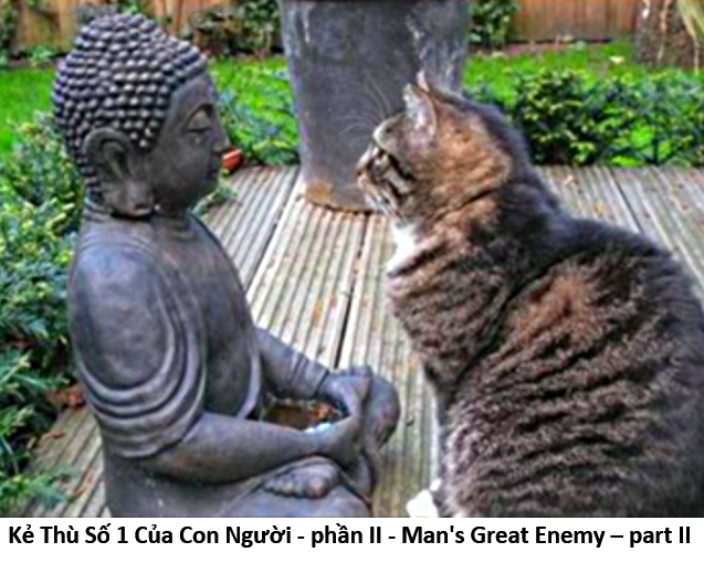 62. Enemy II 1