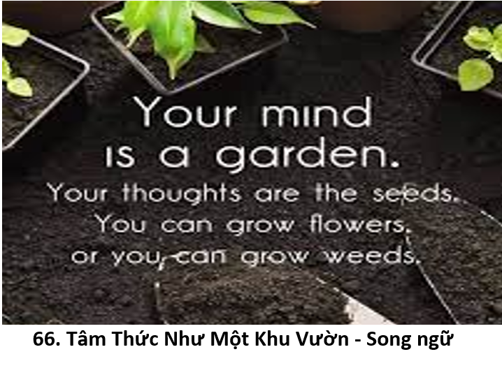 66. Mind 1