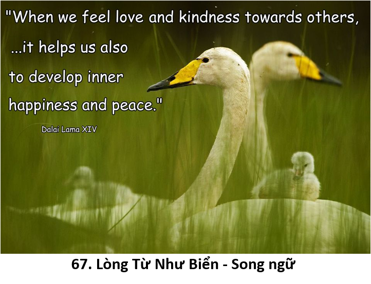 67. Kindness 1