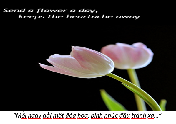 68. Flower thought 5