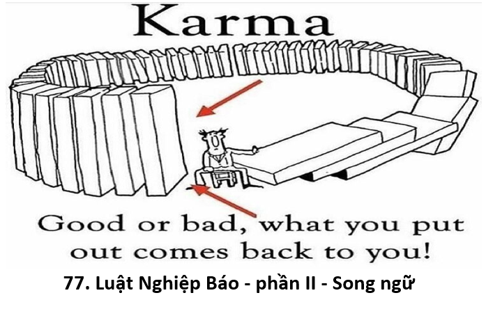 77. Karma II 1
