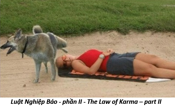 77. Karma II 1