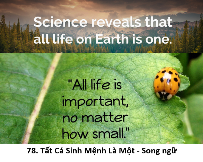 78. All life 1