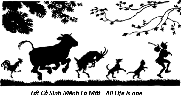 78. All life 1