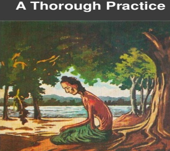 79. Under bodhi tree 6