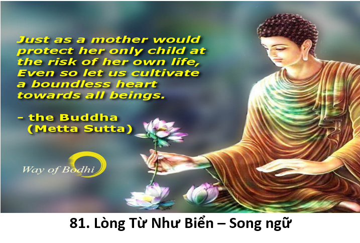 81. Lòng từ nhu biển 1