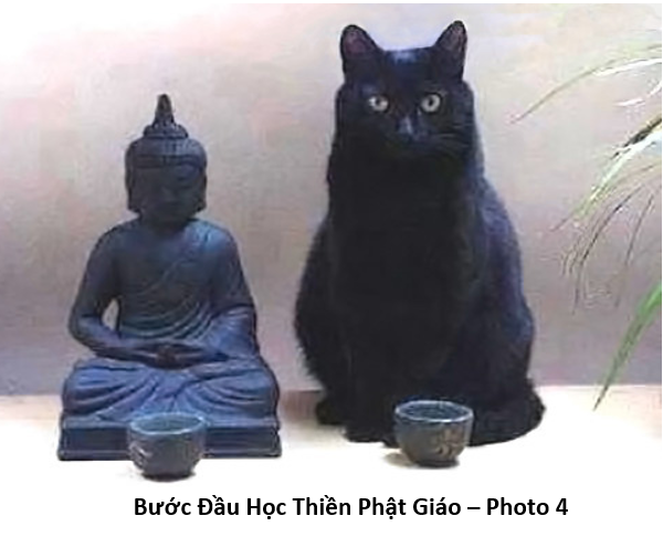 83 Bước Đầu 4