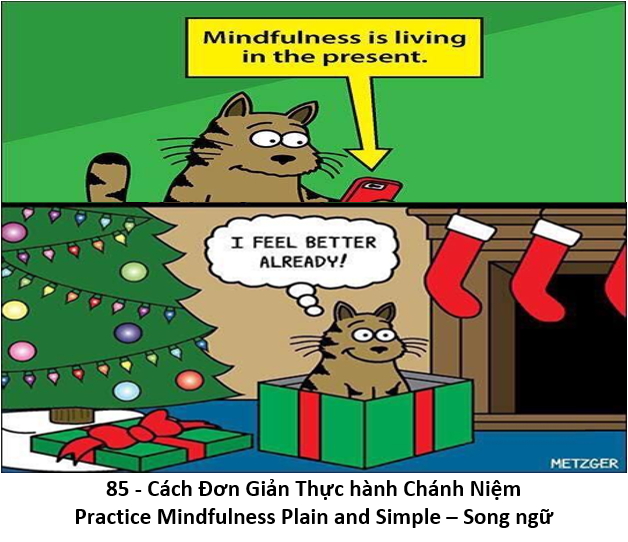 85 Thực hành Chánh Niệm 1