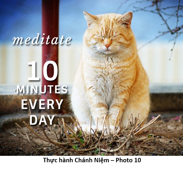 85 Thực hành Chánh Niệm 10 minutes