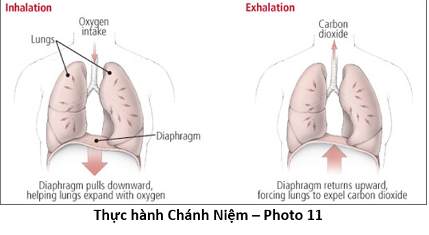 85 Thực hành Chánh Niệm 11 breath