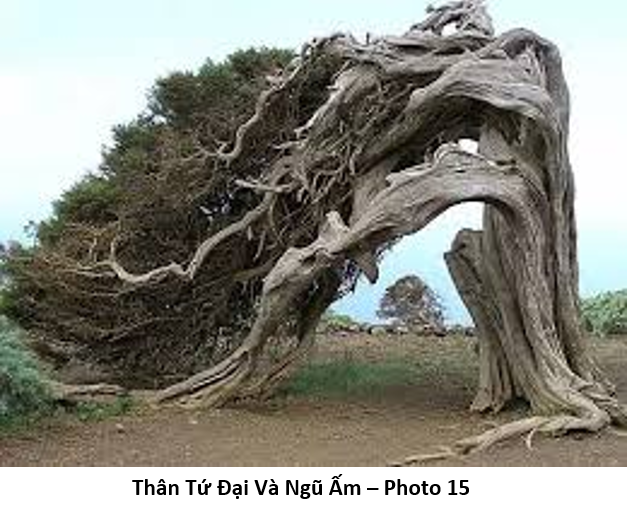 85 Thực hành Chánh Niệm 15 tứ đại