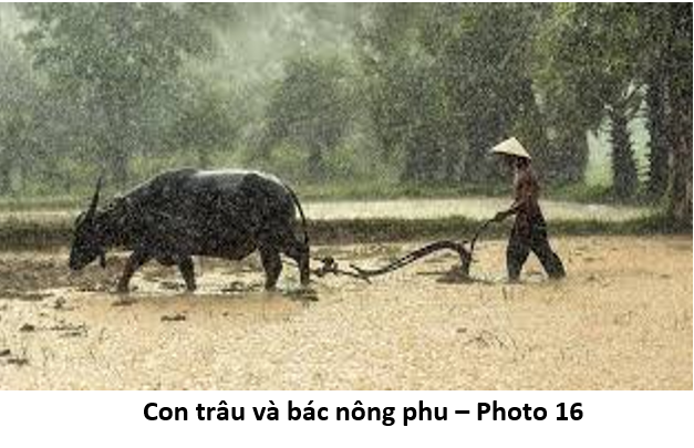 85 Thực hành Chánh Niệm 16 plowing