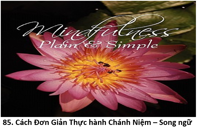 85 Thực hành Chánh Niệm 1a