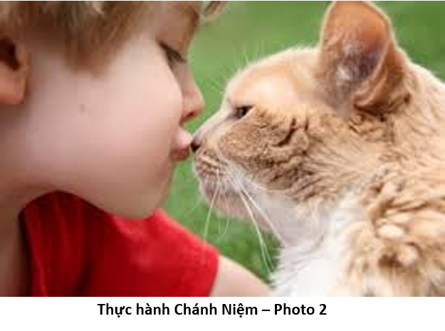85 Thực hành Chánh Niệm cat 2