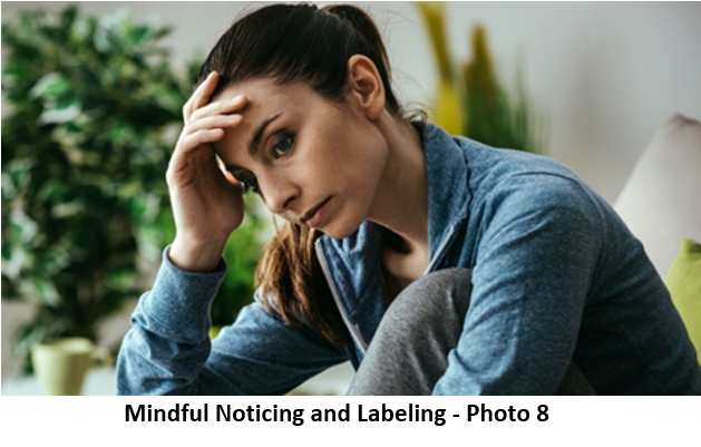 86 Giản dị của Phật Pháp 8 label