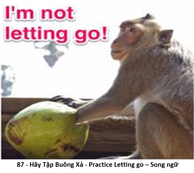 87. Hãy Tập Buông Xả 1