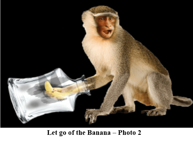 87. banana 2