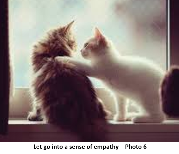 87. empathy 6