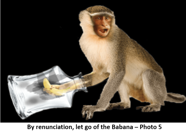 89. Tam Pháp Ấn monkey 5