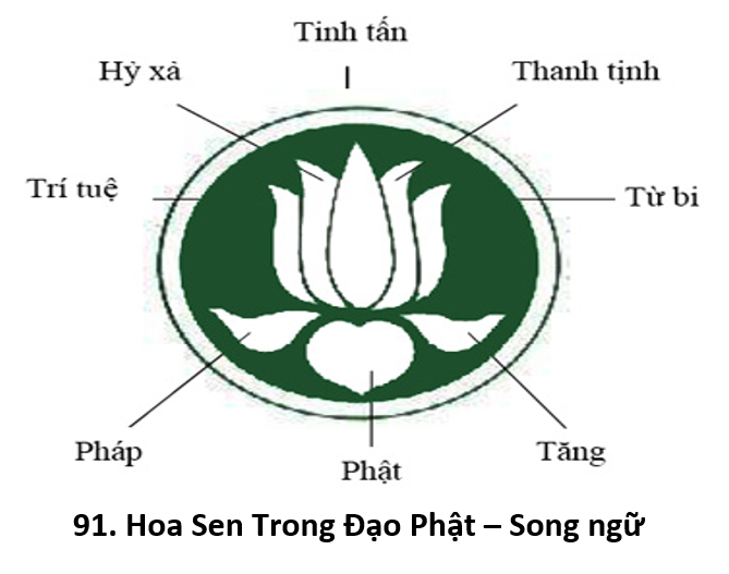 91 Hoa Sen 1a title