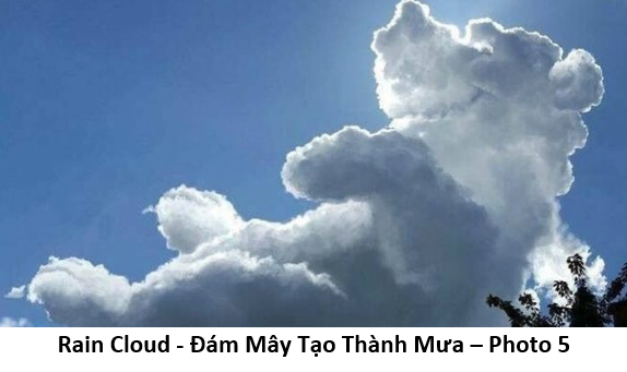 93 Cơn Mưa Pháp 5