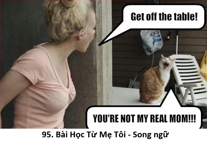 95 Bài Học 1