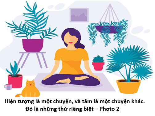 96 Hiểu về Tâm 2