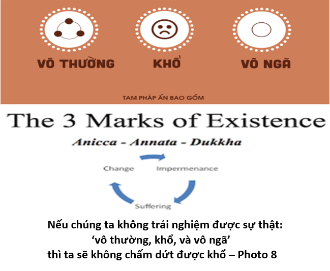 97 Thấy Biết Đúng Như Thật 8