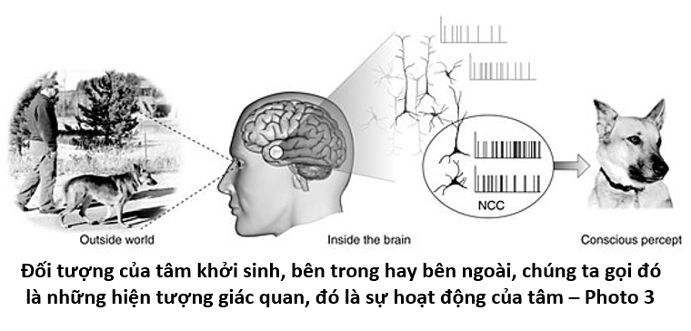 99 Hiểu về Các Hiện Tượng 3