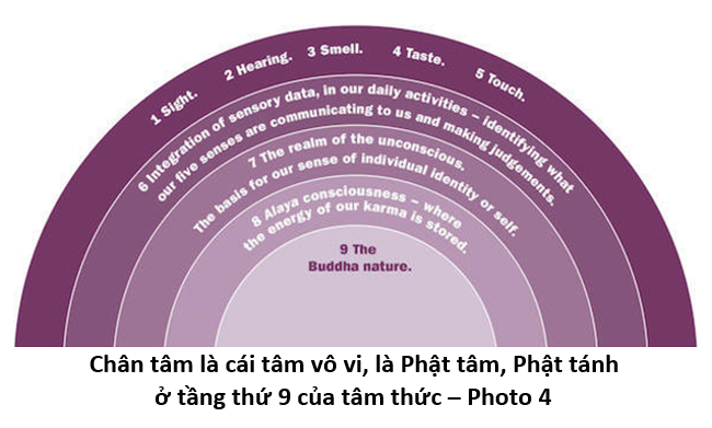 99 Hiểu về Các Hiện Tượng 4