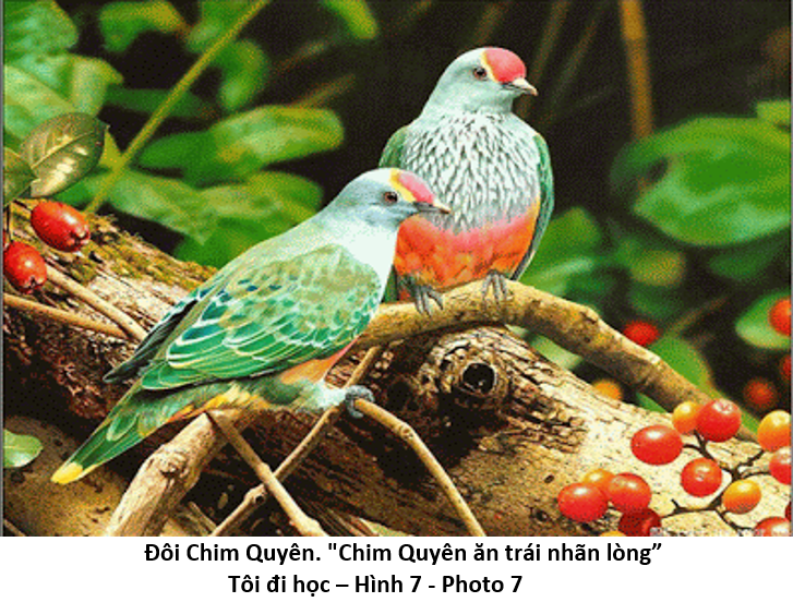 07 Tôi đi học 7