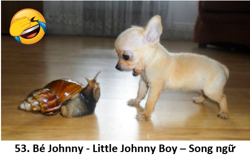 53. Bé Johnny 1