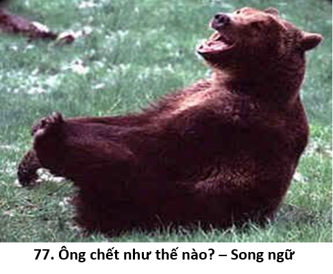 77. Ông chết 1