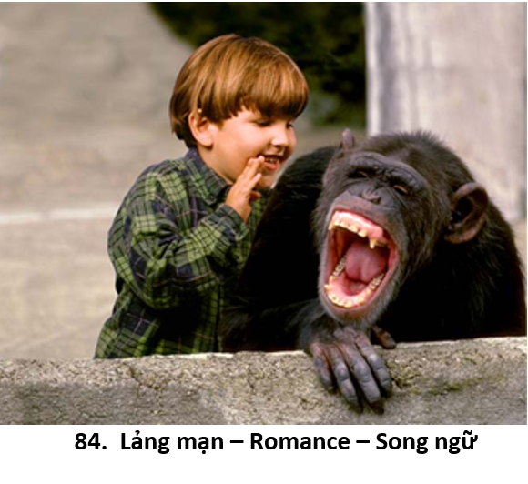 84. Lảng mạn 1