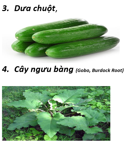 01. title 7