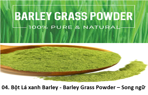 04. barley 1