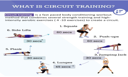 08. title 8 circuit train