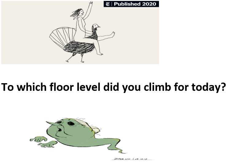 11. title 4 frog