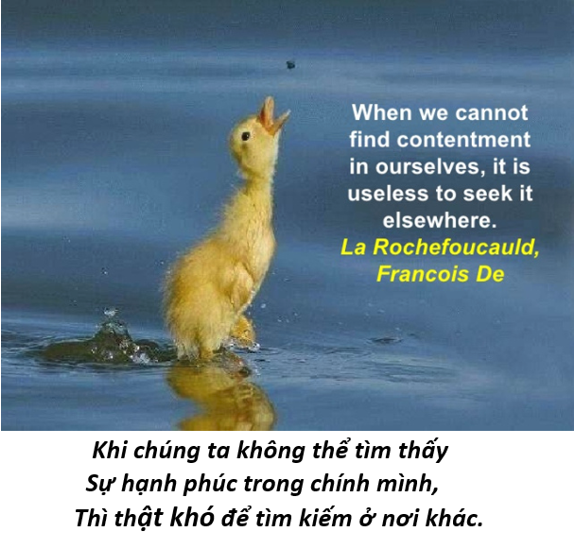 12. Vui sống tuổi già 6
