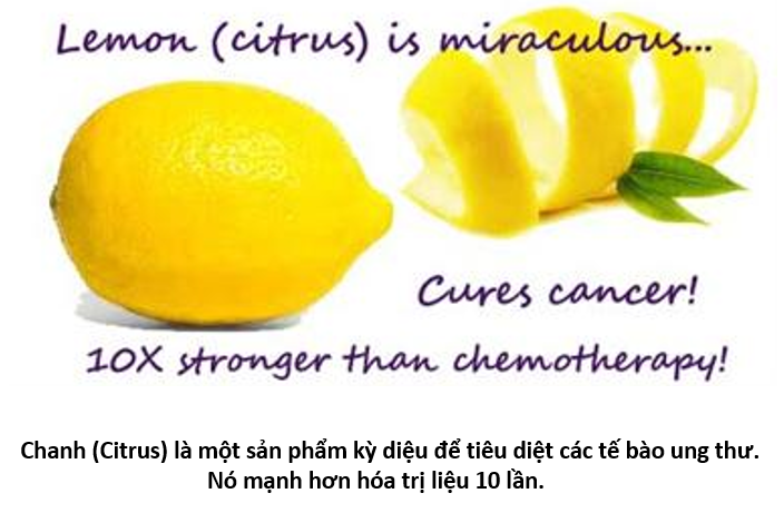 01. title 4 lemon