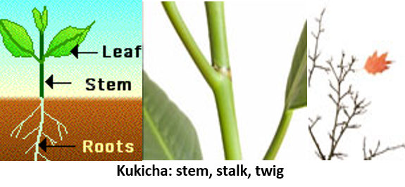 02. title 13 kukicha