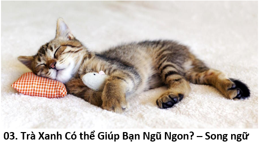 03. title 1 cat