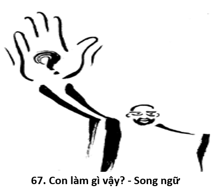 67. title 1