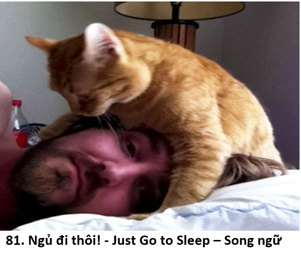 81. Ngủ đi thôi 1