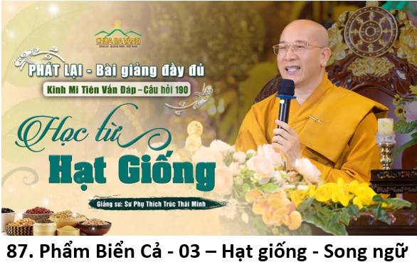 13. Hạt giống 1