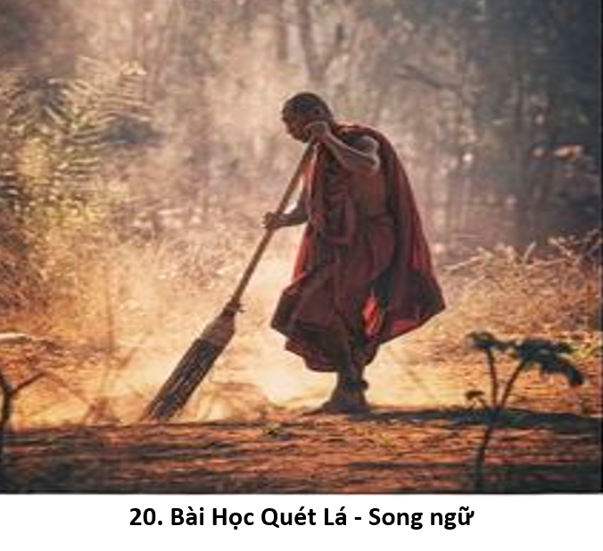 20. Sweep 1