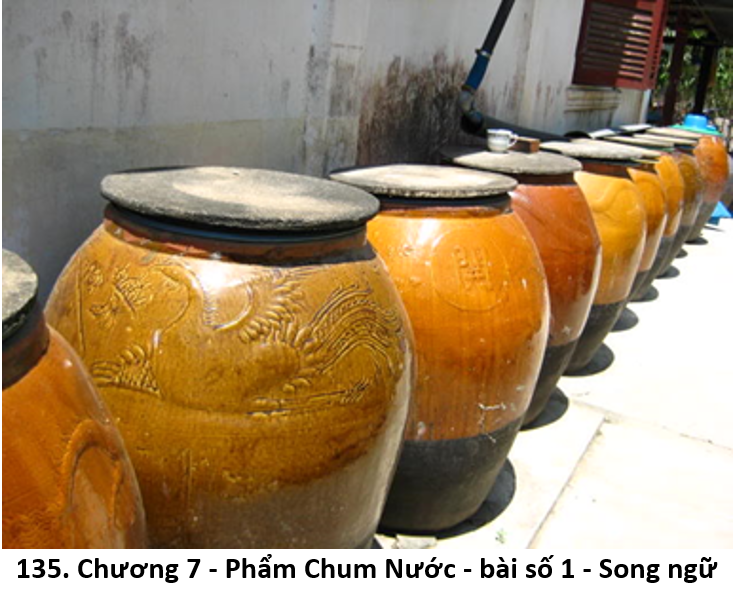 59. chum nước