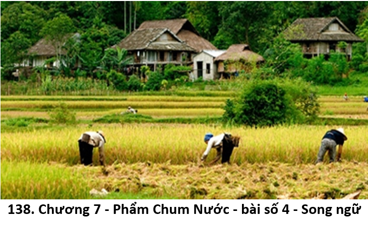 62. thửa ruộng