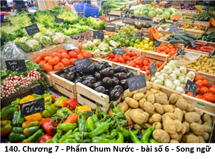 64. vật thực