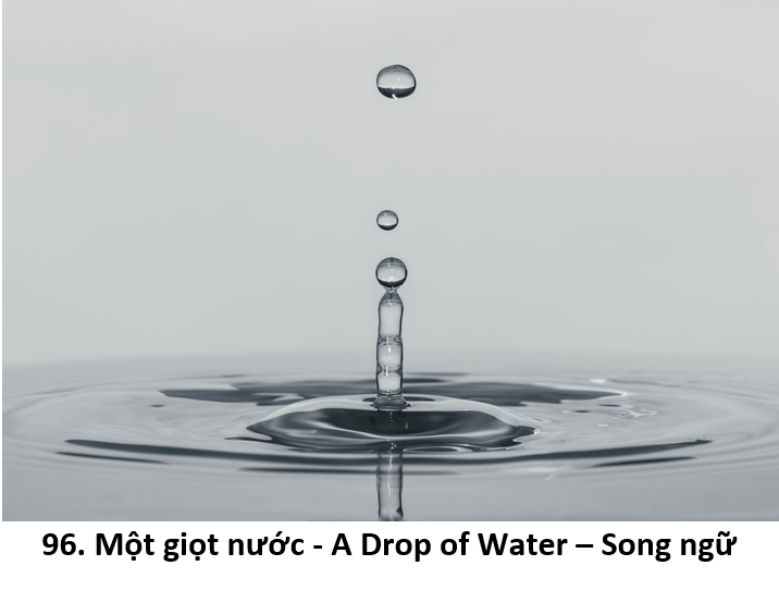 96. Giọt nước 1